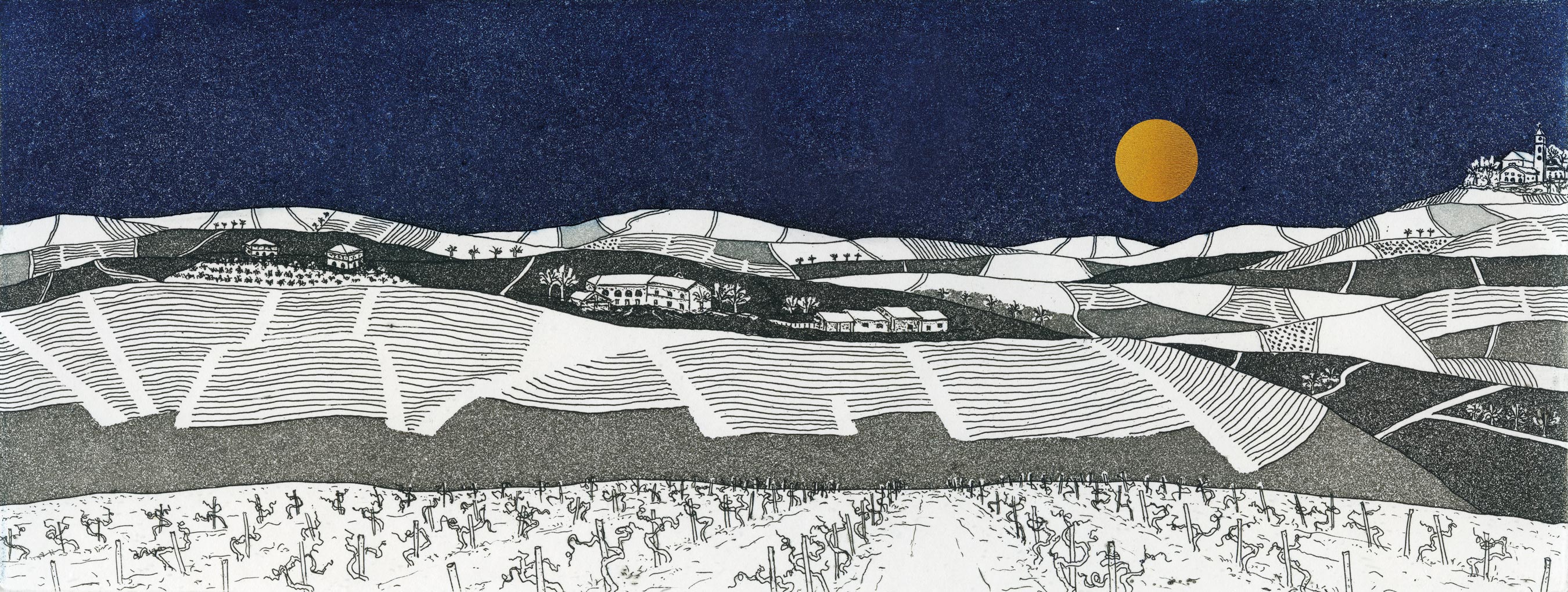 Sori Della Sobra Illustration of Vineyards